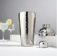Irving™ Hammered Stainless Steel Cocktail Shaker-Viski