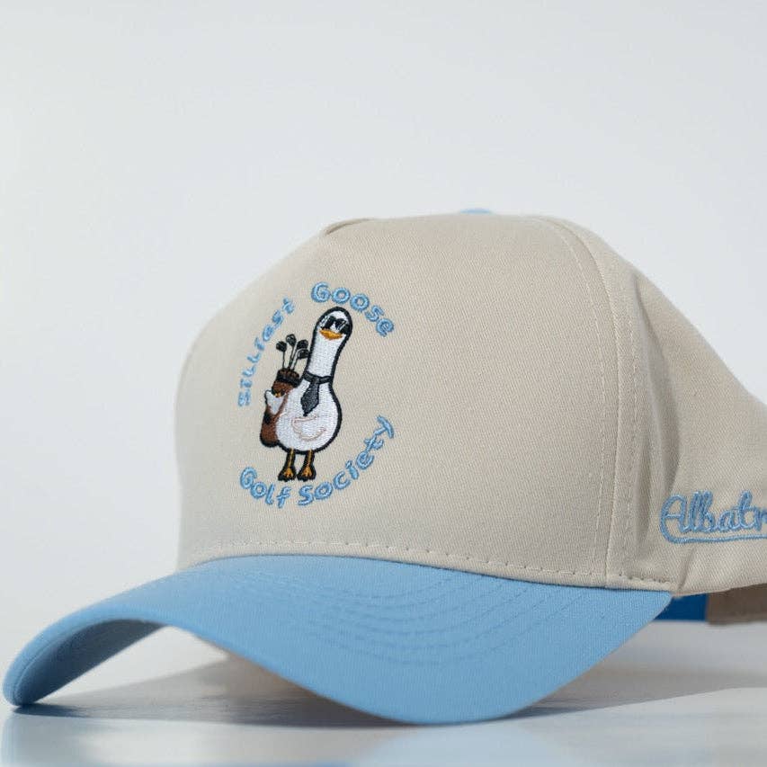 Silly Goose Hat