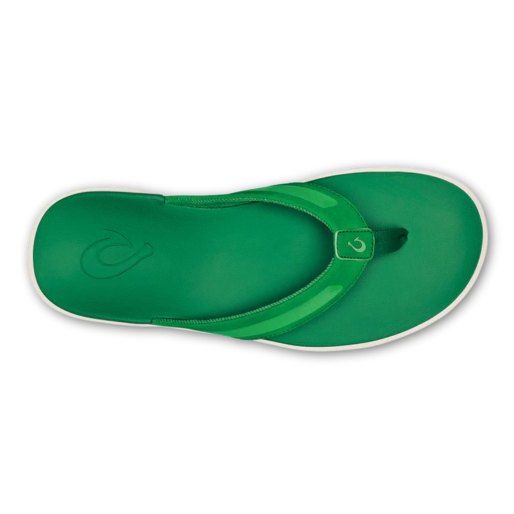 Leeward- Bamboo/Bamboo- OluKia