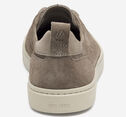 Ollie Lace To Toe - Taupe Suede - J&M