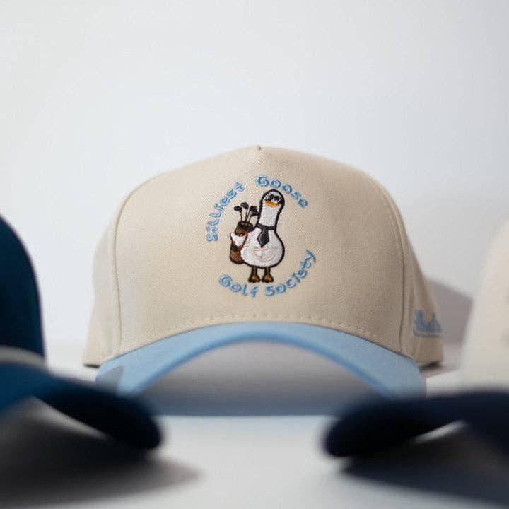Silly Goose Hat
