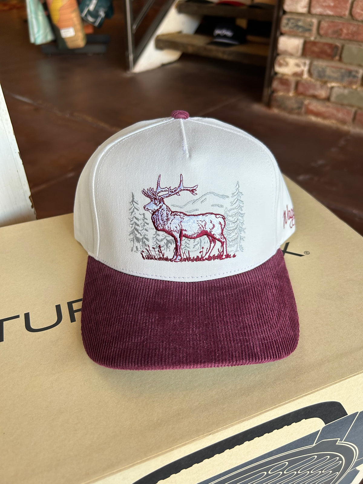 Yukon Corduroy Brim Hat - Waggle