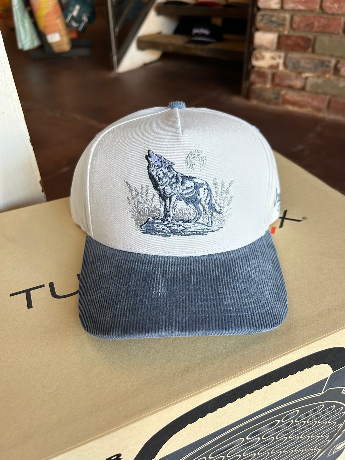 Alpha Corduroy Brim Hat - Waggle
