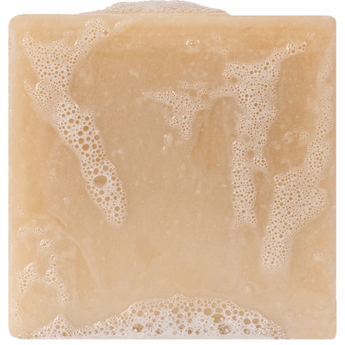 Bay Rum-Bar Soap- Dr Squatch