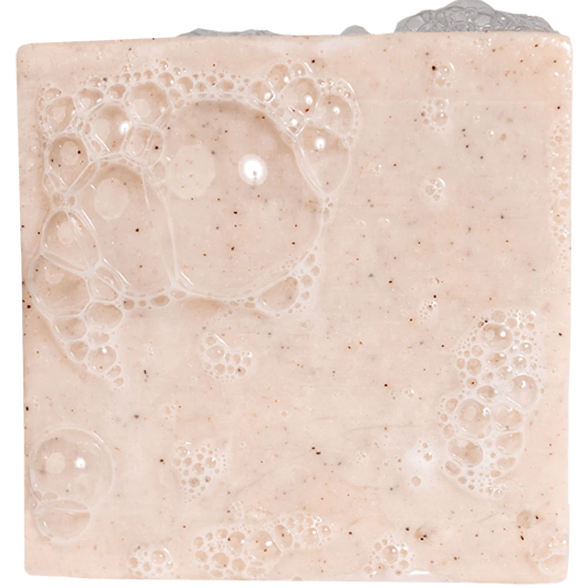 Birchwood Breeze-Bar Soap- Dr Squatch