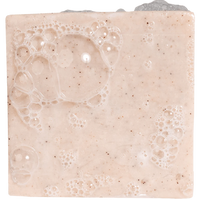 Birchwood Breeze-Bar Soap- Dr Squatch