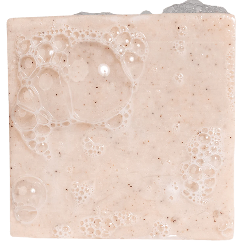 Birchwood Breeze-Bar Soap- Dr Squatch