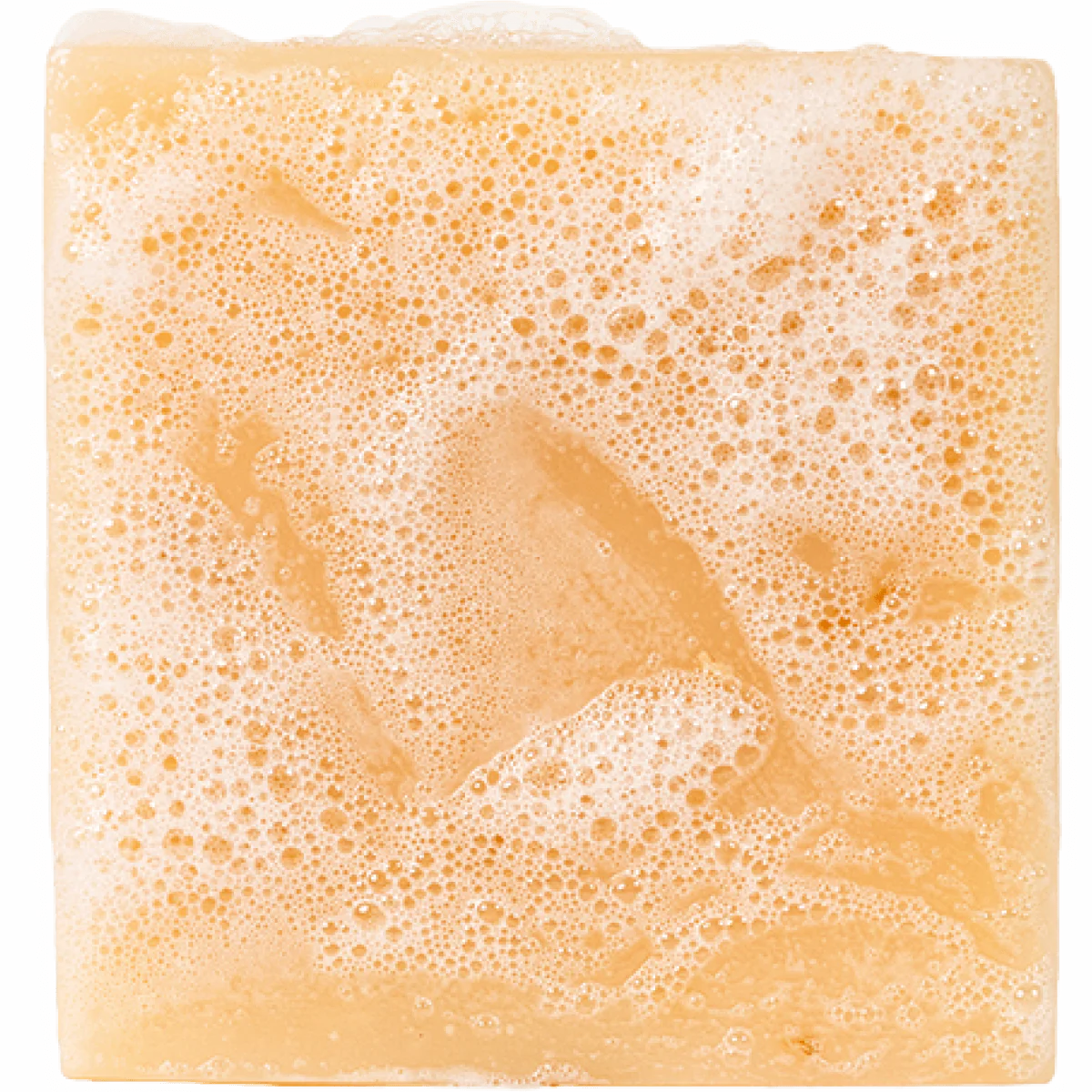 Deep Sea Goat's Milk-Bar Soap- Dr Squatch