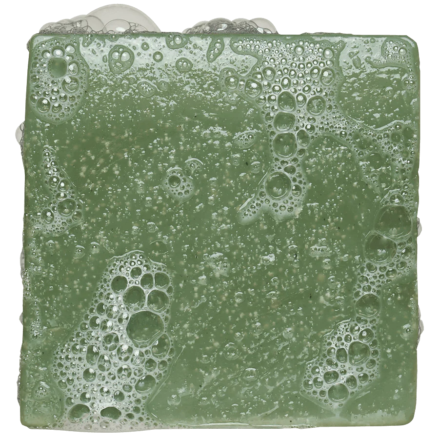 Rainforest Rapids-Bar Soap- Dr Squatch