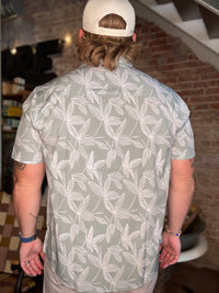 Wailea Cavalier Button Up - Sage