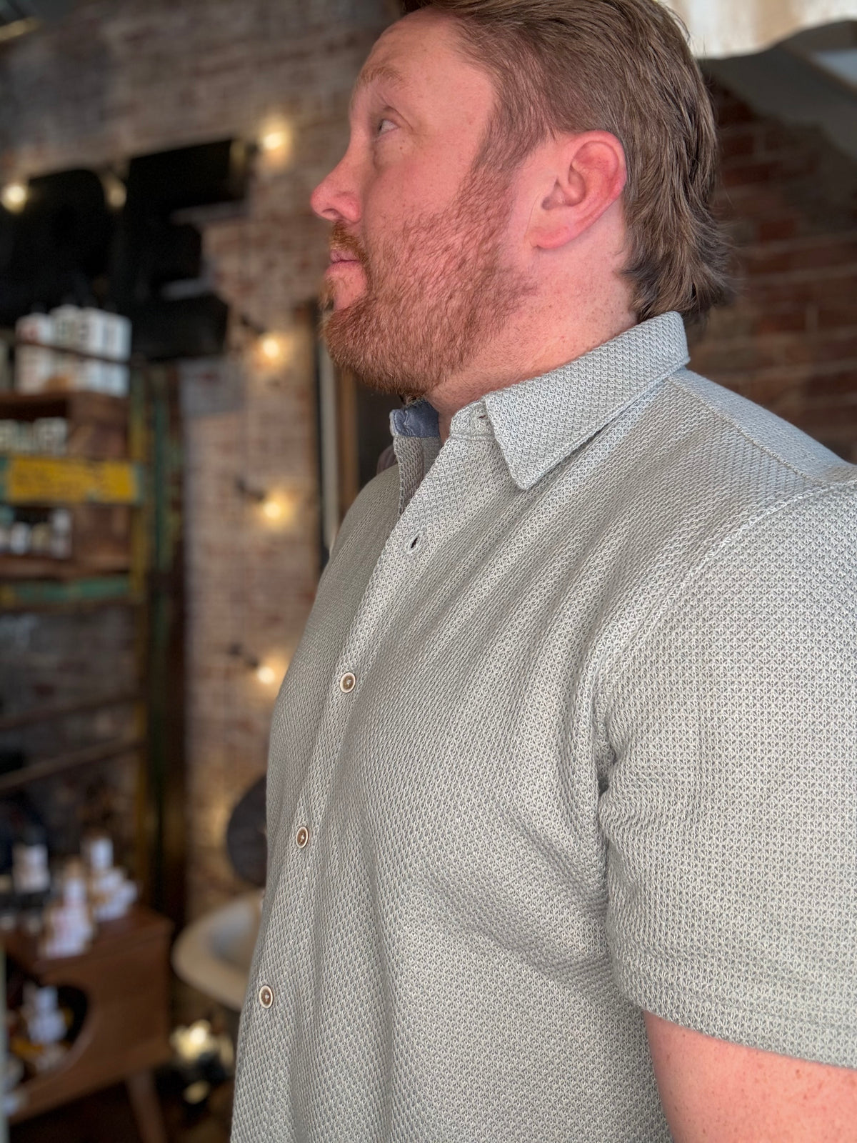 Linden Textured SS Shirt - Sage