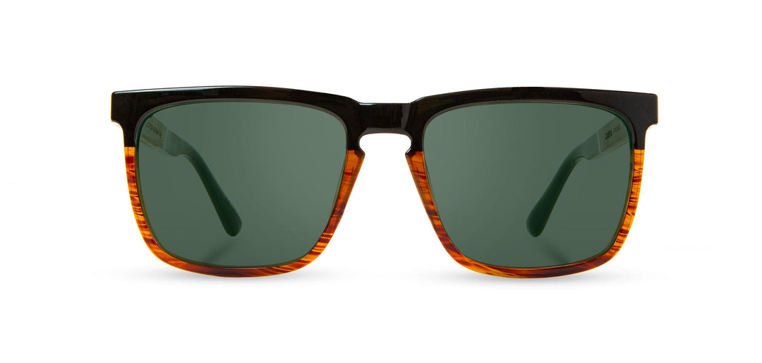 Camp Sunglasses- Black Tortoise