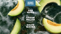 Dr. Squatch Coastal Mist Deodorant