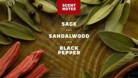 Dr. Squatch Sandalwood Summit Deodorant