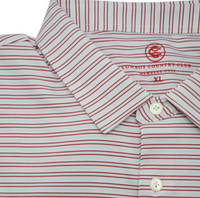 Thin Stripe Polo - Brick