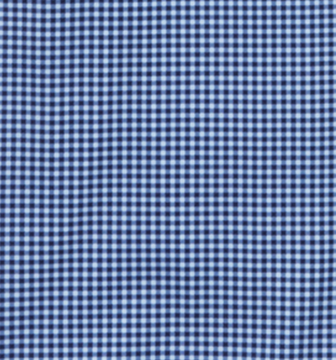 Patton Gingham LS - Blue/Black