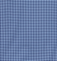 Patton Gingham LS - Blue/Black