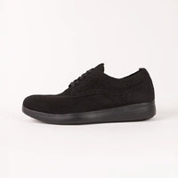 Summit Shoe 2.0 Black - & Collar