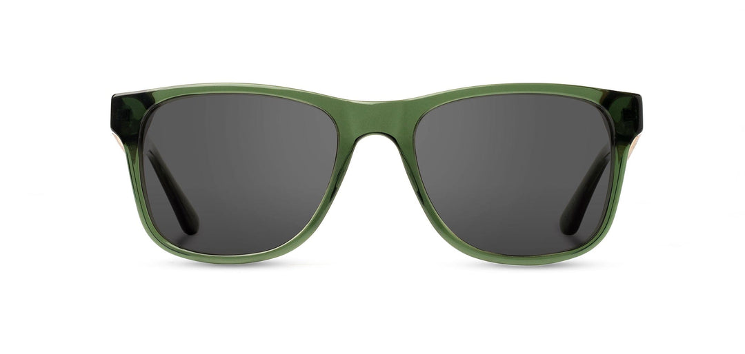 Camp Sunglasses- Trail-Fern Green
