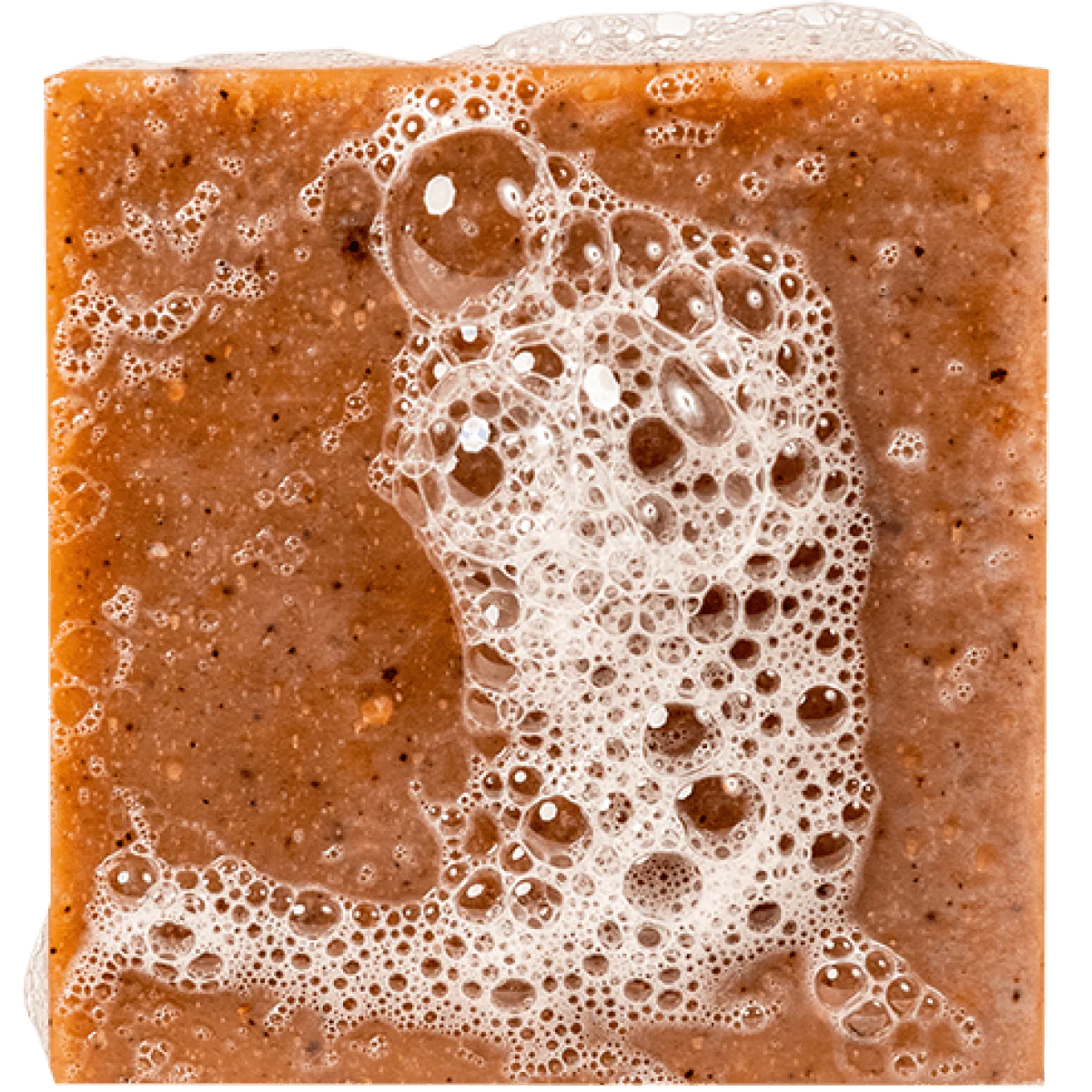 Wood Barrel Bourbon-Bar Soap- Dr Squatch