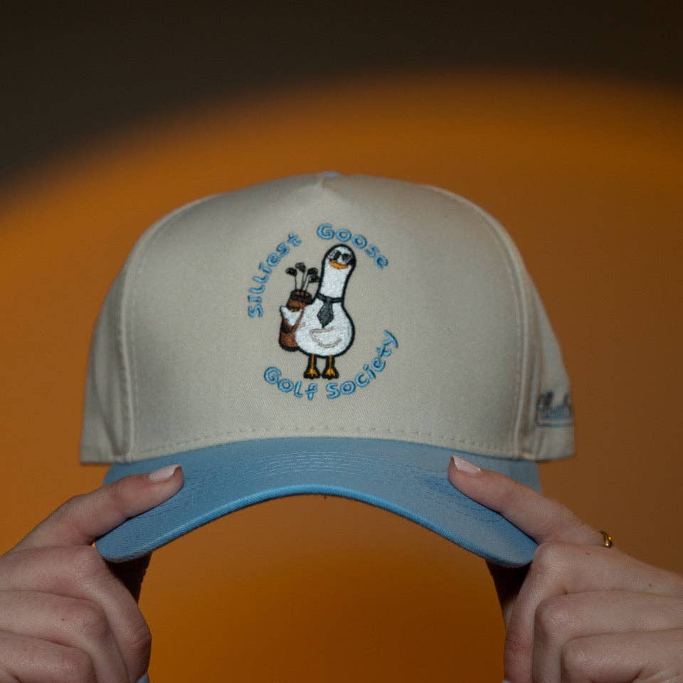 Silly Goose Hat