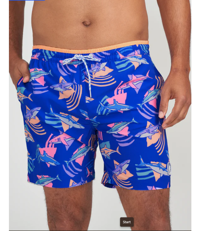 The Daddy Sharks- Chubbies