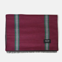 Oxblood Stripes Brushed Silk Scarf - Curated Basics