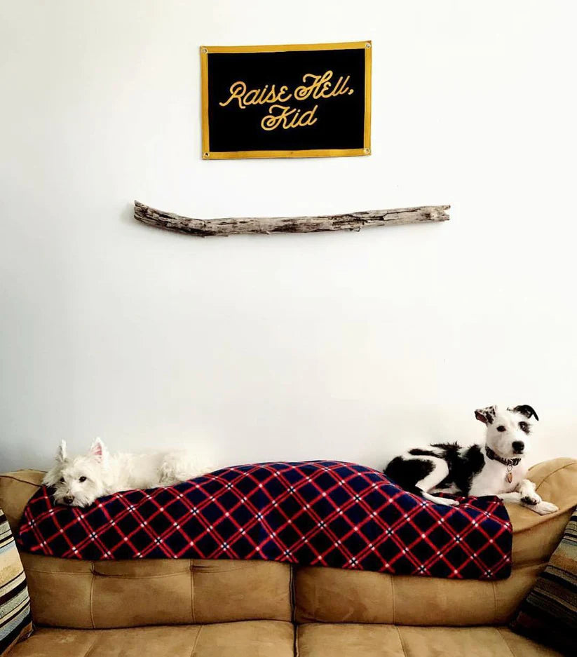 Raise Hell Kid Camp Flag - Oxford Pennant