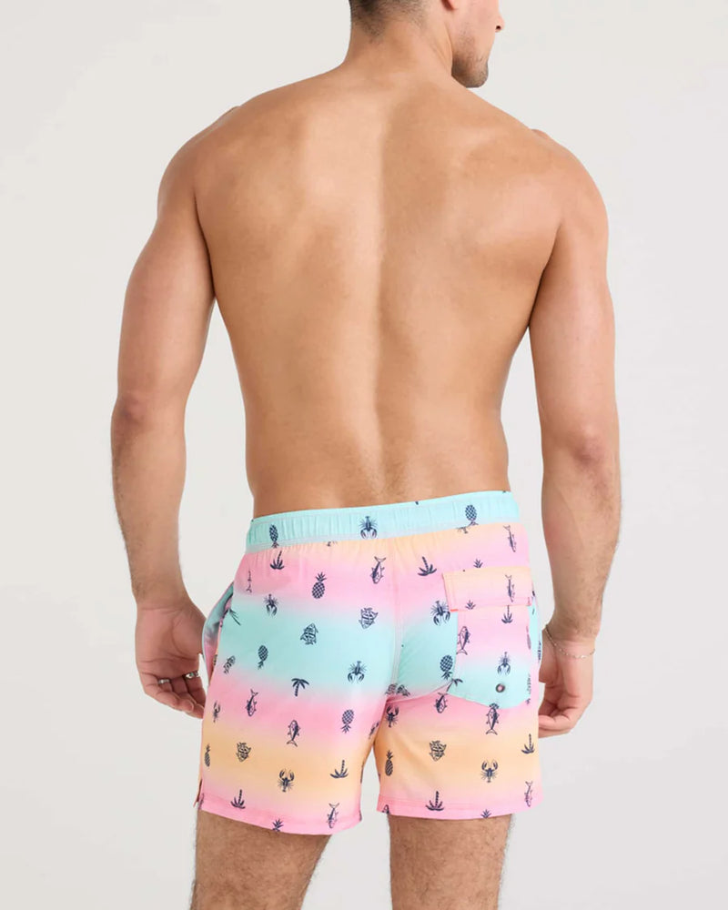 Summer Ombre-Multi Buoy 2N1 Stretch Swim Volley 5" with liner